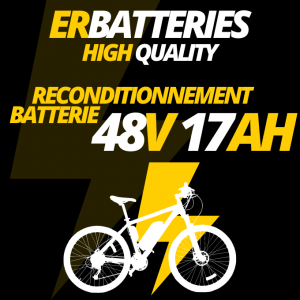 Reconditionnement batteries vélo électrique 48V 13Ah - ER Batteries